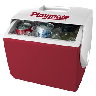 7 qt igloo cooler